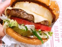 -The Habit Burger Grill 哈比特汉堡(爱琴海店)