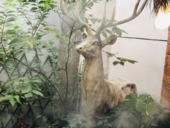 -边渡咖啡烘焙店(昙华林店)