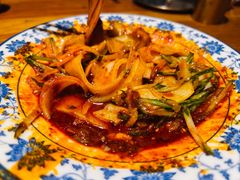 -柴窝堡22号辣子鸡·传承新疆菜