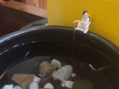 -竹雀古法采耳(青岛麦凯乐店)
