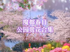 -徐家汇公园