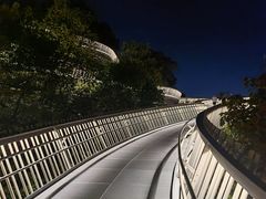 -福道