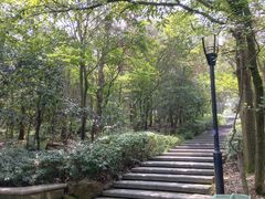 -宝界山林公园