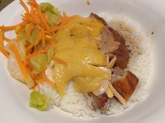 烧鸭拼白切鸡饭-大家乐(广州天河城六楼店)