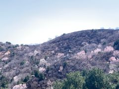-香山公园