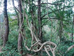-天台山赤城山景区