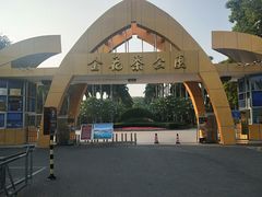 -金花茶公园