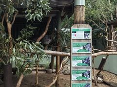 -费瑟代尔野生动物园