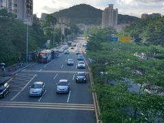 -峰景台亚姨牛杂