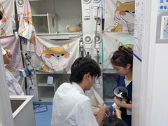 -博特宠物医院24h犬猫全科.骨科·异宠