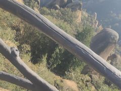 -嵖岈山风景区