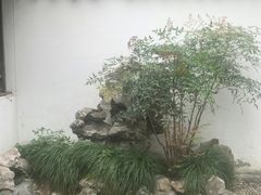 -东山雕花楼