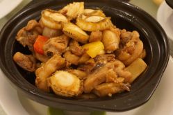 -金翠皇宫·宴会厅