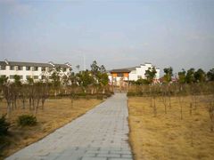-八大山人游乐世界