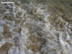 -西涌国际滨海旅游区