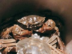 -星伦多自助料理·涮烤一体(杭州来福士店)