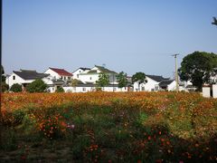 -莲花岛景区