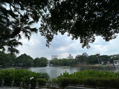 -荔湾湖公园