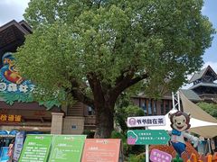 -苏州乐园森林水世界