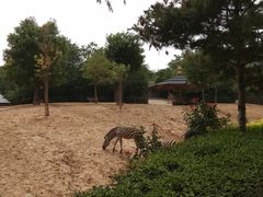 -石家庄市动物园