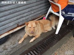 -南丫岛