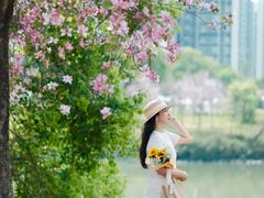 -广东花都湖国家湿地公园