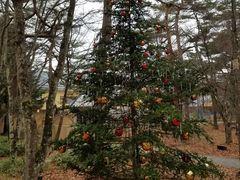 -轻井泽高原教堂