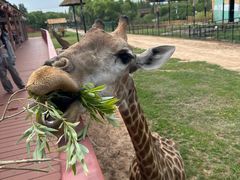 -鄂尔多斯野生动物园