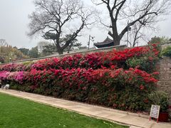 -红螺寺
