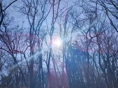 -皇藏峪国家森林公园