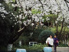 -杭州少年儿童公园