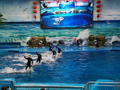 -多彩贵州城极地海洋世界