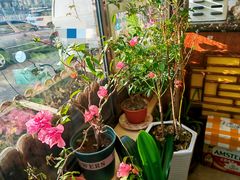 -君霖海鲜私房菜(春柳店)