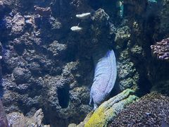 -海合安青岛极地海洋公园