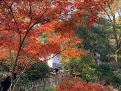 -岳麓山风景名胜区