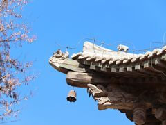 -张掖大佛寺景区