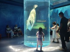 -海合安武汉极地海洋公园