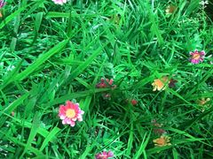 -湘邻呷铺·田园家宴(汉基广场店)