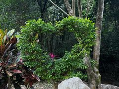 -广州白江湖森林公园