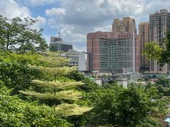 -佛山华盖山公园