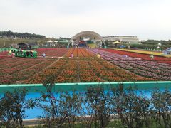 花之恋酒店-广州花之恋城堡酒店