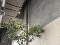 -喜茶(珠海华发商都店)