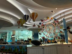 -帝企鹅自助餐厅•儿童岛•真企鹅(长隆企鹅酒店)