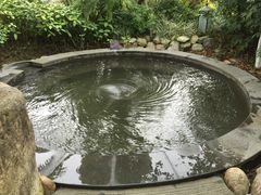 -水底山庄园温泉