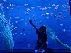 -沈阳海洋探索中心