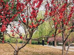 -南长河公园