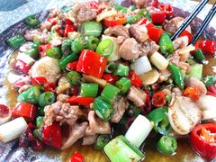 -青城甲(青城山店)