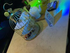 -自由港KTV(王子公主金平店)