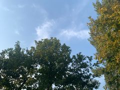 -蒲河岛湿地公园