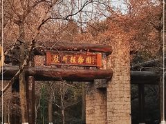 -杭州植物园